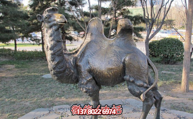創(chuàng)意大型玻璃鋼駱駝雕塑，在草地上擺放，一眼回頭