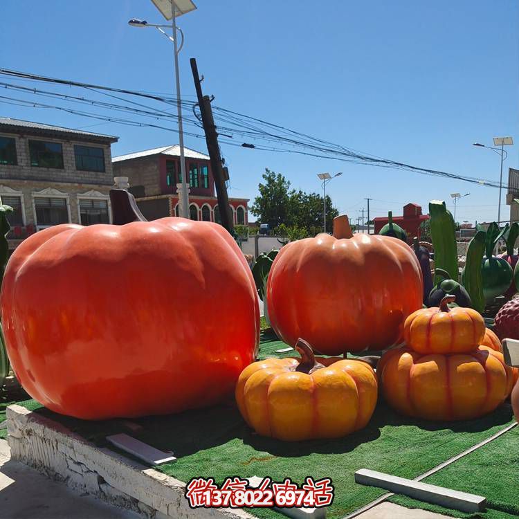 美麗鄉(xiāng)村，收獲美食——南瓜種植示范農(nóng)場(chǎng)