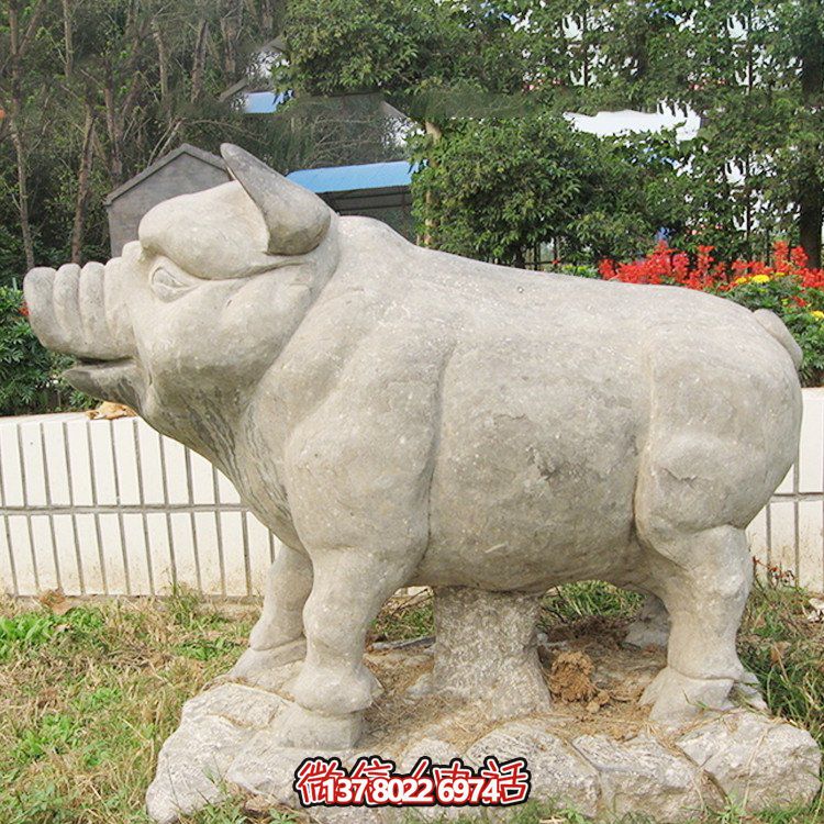 石雕豬，憨態(tài)可掬的大肥豬